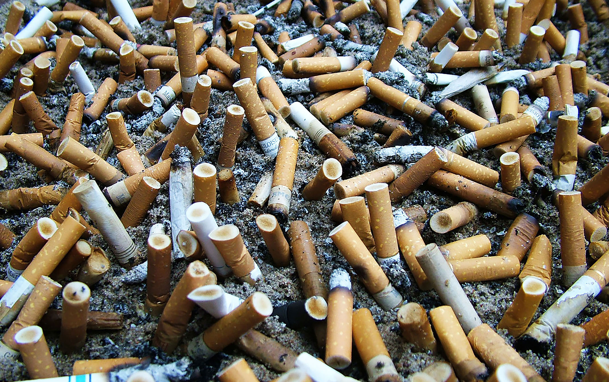 Quel est l'impact des mégots de cigarette sur la planète ?